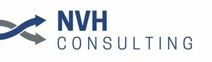 NVH consulting